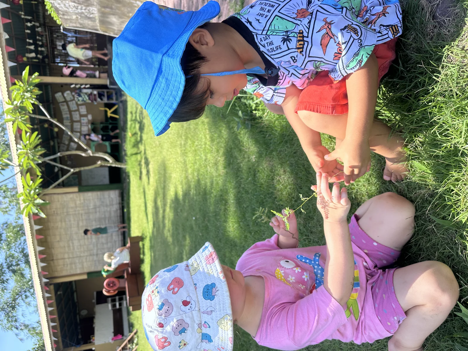 Sunny Kids Moment 24